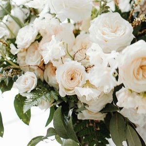 Meet your Posher, Adriana